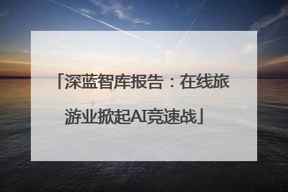 深蓝智库报告：在线旅游业掀起AI竞速战