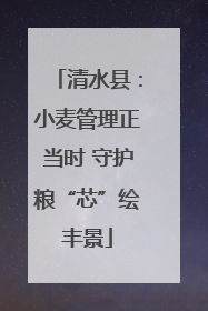 清水县：小麦管理正当时 守护粮“芯”绘丰景