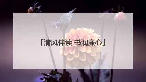 清风伴读 书润廉心