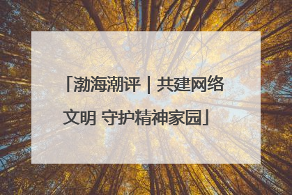 渤海潮评｜共建网络文明 守护精神家园