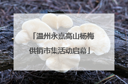 温州永嘉高山杨梅供销市集活动启幕