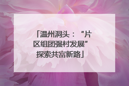 温州洞头：“片区组团强村发展”探索共富新路