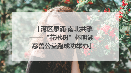 湾区泉涌·南北共擎——“花楸树”杯明湖慈善公益跑成功举办