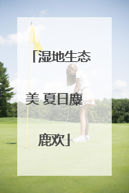 湿地生态美 夏日麋鹿欢