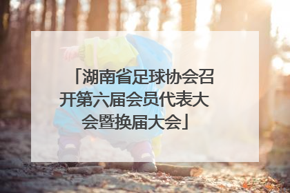 湖南省足球协会召开第六届会员代表大会暨换届大会
