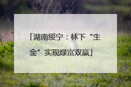 湖南绥宁：林下“生金”实现绿富双赢