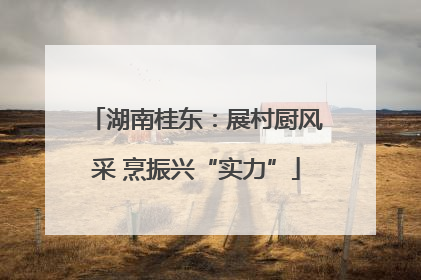 湖南桂东：展村厨风采 烹振兴“实力”