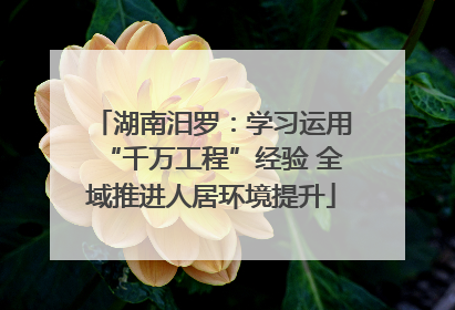 湖南汨罗：学习运用“千万工程”经验 全域推进人居环境提升