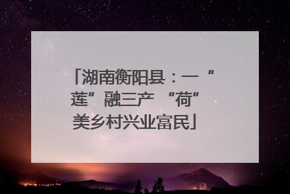 湖南衡阳县：一“莲”融三产 “荷”美乡村兴业富民