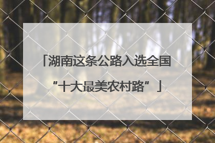 湖南这条公路入选全国“十大最美农村路”
