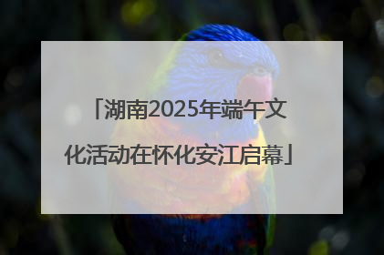 湖南2025年端午文化活动在怀化安江启幕