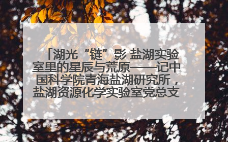 湖光“链”影 盐湖实验室里的星辰与荒原——记中国科学院青海盐湖研究所，盐湖资源化学实验室党总支书记、副主任刘忠