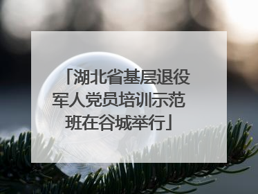 湖北省基层退役军人党员培训示范班在谷城举行