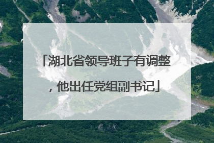 湖北省领导班子有调整，他出任党组副书记