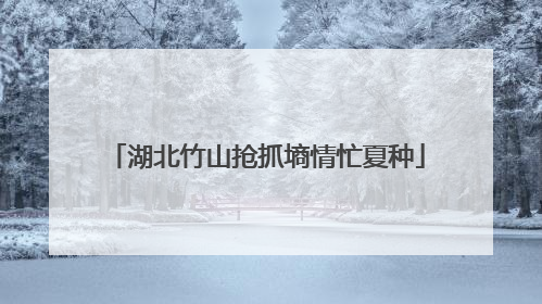 湖北竹山抢抓墒情忙夏种