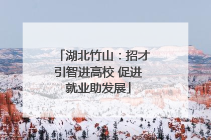 湖北竹山：招才引智进高校 促进就业助发展