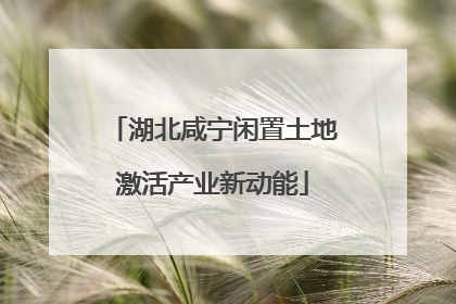 湖北咸宁闲置土地激活产业新动能