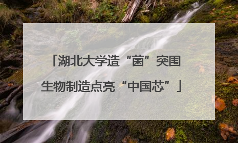 湖北大学造“菌”突围 生物制造点亮“中国芯”