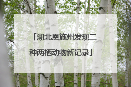 湖北恩施州发现三种两栖动物新记录