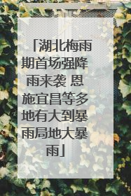 湖北梅雨期首场强降雨来袭 恩施宜昌等多地有大到暴雨局地大暴雨