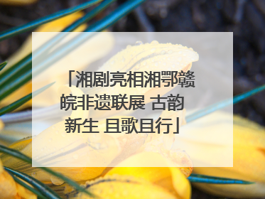 湘剧亮相湘鄂赣皖非遗联展 古韵新生 且歌且行
