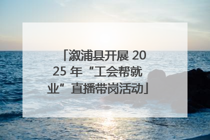 溆浦县开展 2025 年“工会帮就业”直播带岗活动