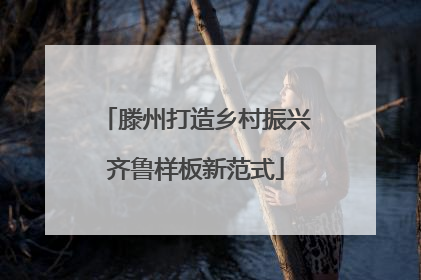 滕州打造乡村振兴齐鲁样板新范式