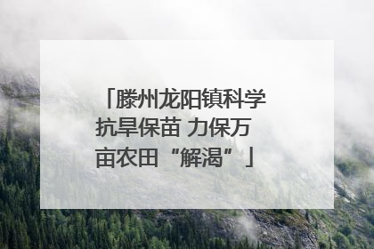 滕州龙阳镇科学抗旱保苗 力保万亩农田“解渴”