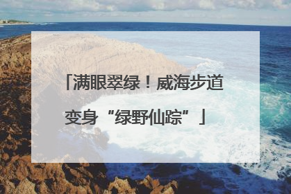 满眼翠绿！威海步道变身“绿野仙踪”