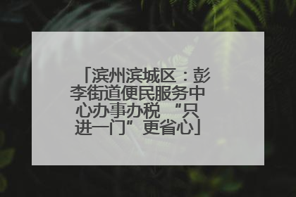 滨州滨城区：彭李街道便民服务中心办事办税 “只进一门”更省心
