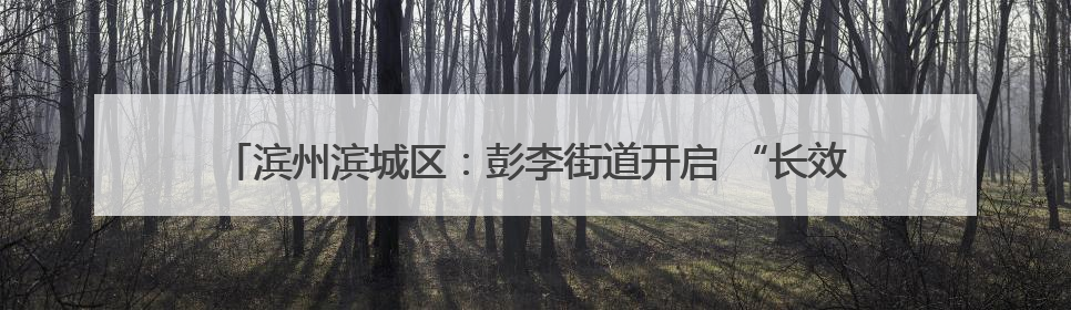 滨州滨城区：彭李街道开启 “长效护考” 模式 织密中高考护航网