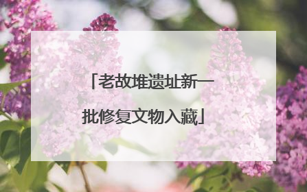 老故堆遗址新一批修复文物入藏