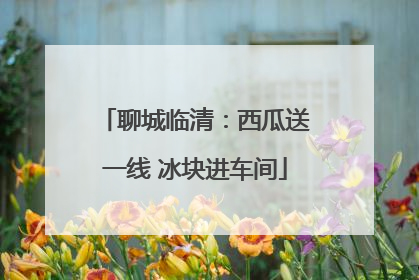 聊城临清：西瓜送一线 冰块进车间
