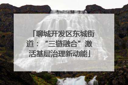 聊城开发区东城街道：“三链融合”激活基层治理新动能