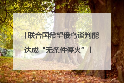 联合国希望俄乌谈判能达成“无条件停火”