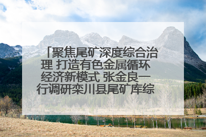聚焦尾矿深度综合治理 打造有色金属循环经济新模式 张金良一行调研栾川县尾矿库综合治理工作