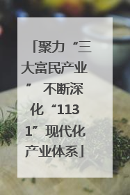 聚力“三大富民产业” 不断深化“1131”现代化产业体系
