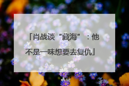 肖战谈“藏海”：他不是一味想要去复仇