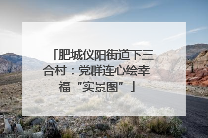 肥城仪阳街道下三合村：党群连心绘幸福“实景图”