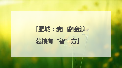 肥城：麦田翻金浪藏粮有“智”方