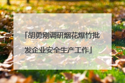 胡勇刚调研烟花爆竹批发企业安全生产工作