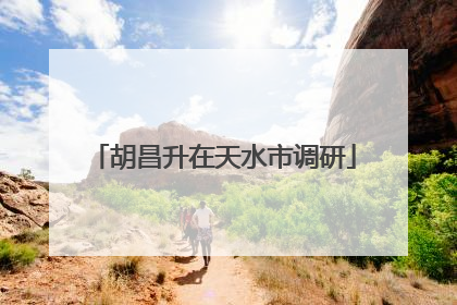 胡昌升在天水市调研