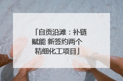 自贡沿滩：补链赋能 新签约两个精细化工项目