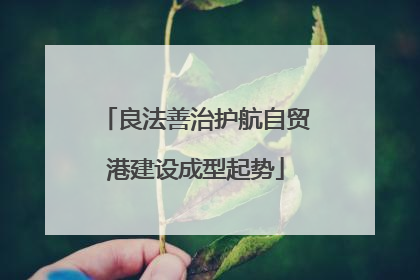 良法善治护航自贸港建设成型起势