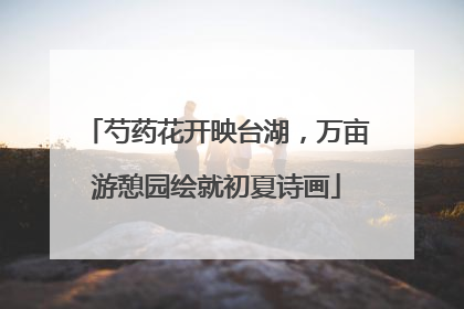 芍药花开映台湖，万亩游憩园绘就初夏诗画