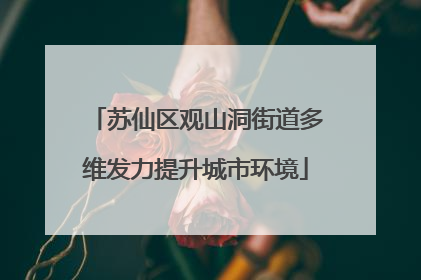 苏仙区观山洞街道多维发力提升城市环境
