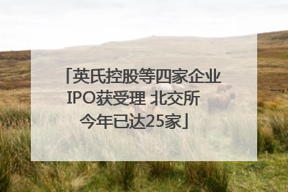 英氏控股等四家企业IPO获受理 北交所今年已达25家