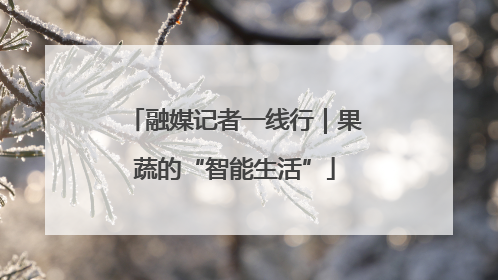融媒记者一线行｜果蔬的“智能生活”
