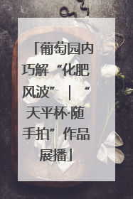 葡萄园内巧解“化肥风波”｜“天平杯·随手拍”作品展播