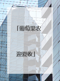 葡萄果农迎夏收